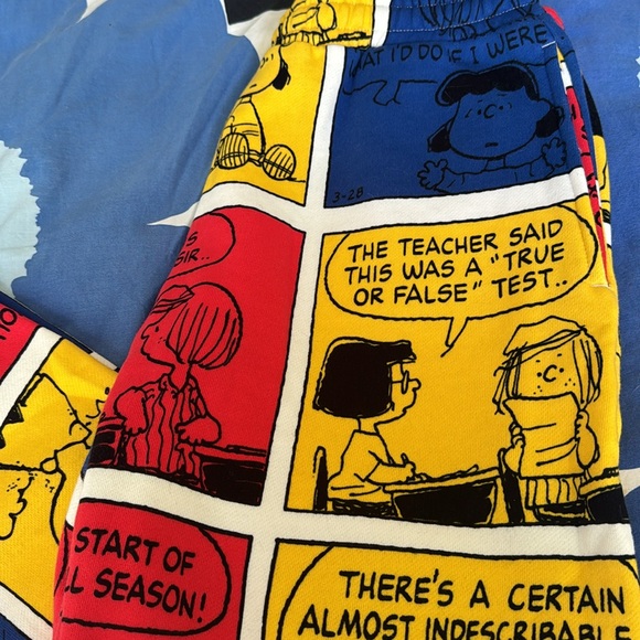 Dumbgood x Peanuts comic strip sweatpants - Picture 3 of 3